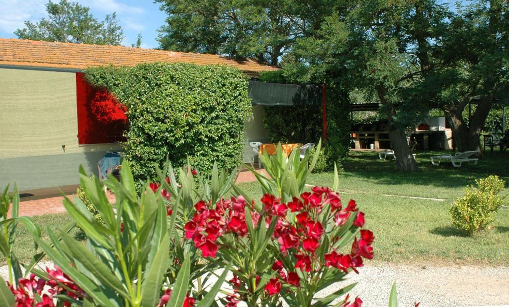 Casa Vacanze Guardamare San Vincenzo Oda fotoğraf